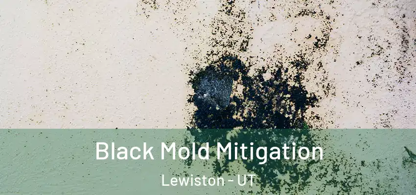  Black Mold Mitigation Lewiston - UT