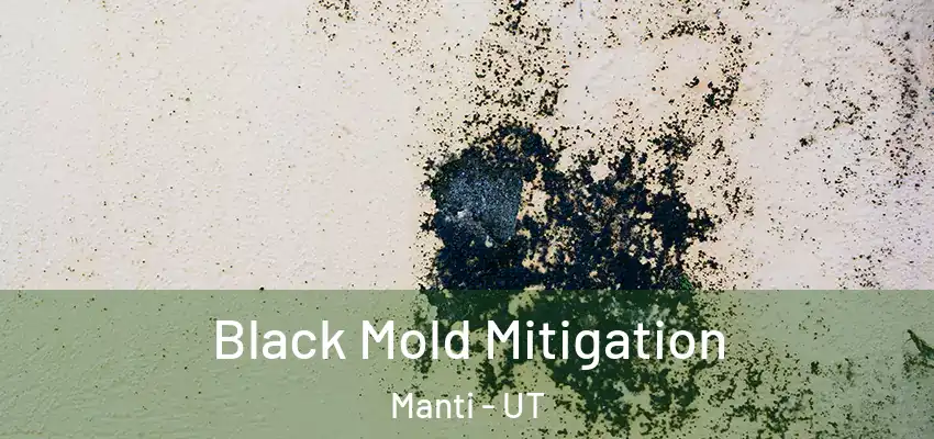  Black Mold Mitigation Manti - UT