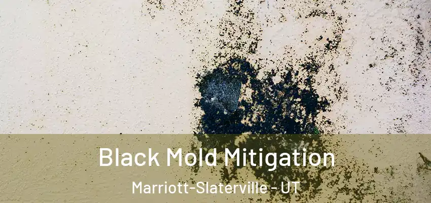  Black Mold Mitigation Marriott-Slaterville - UT
