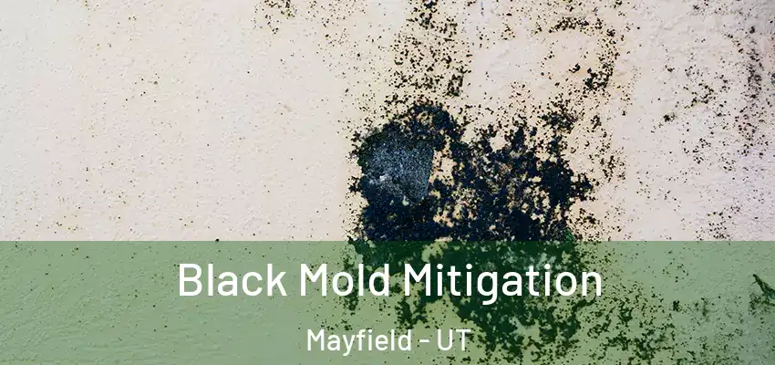 Black Mold Mitigation Mayfield - UT