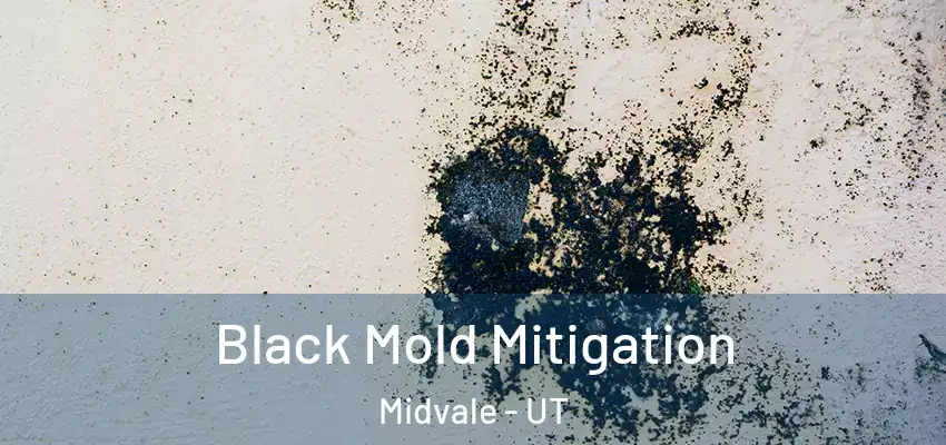Black Mold Mitigation Midvale - UT