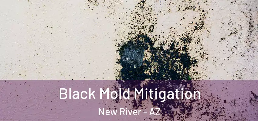 Black Mold Mitigation New River - AZ