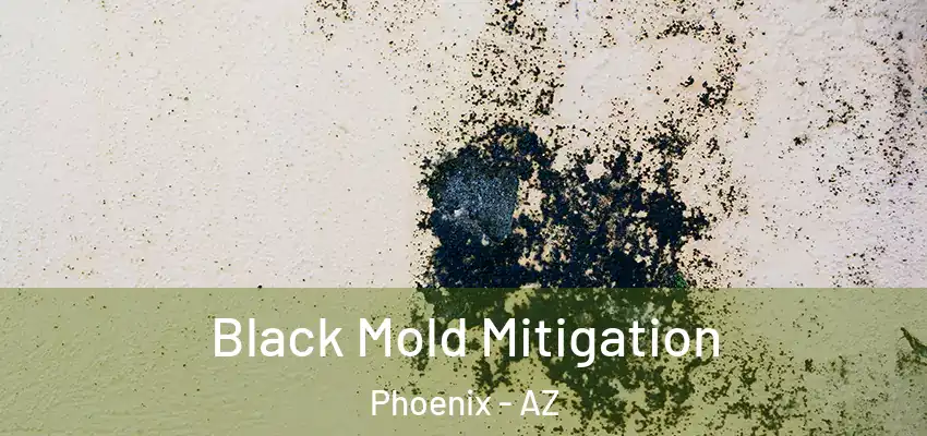  Black Mold Mitigation Phoenix - AZ