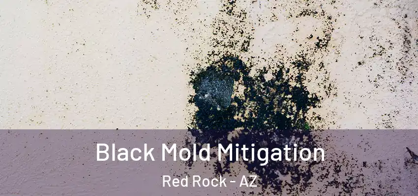 Black Mold Mitigation Red Rock - AZ