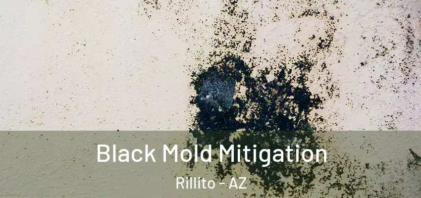 Black Mold Mitigation Rillito - AZ
