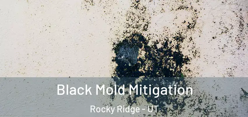  Black Mold Mitigation Rocky Ridge - UT