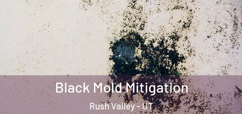 Black Mold Mitigation Rush Valley - UT