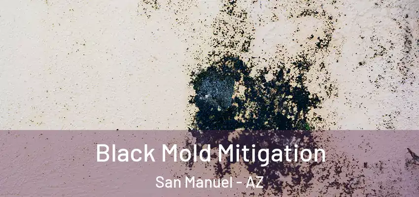  Black Mold Mitigation San Manuel - AZ