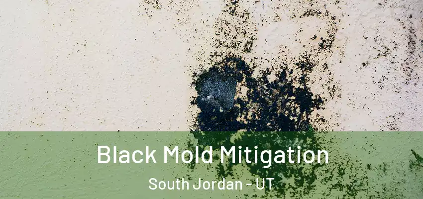  Black Mold Mitigation South Jordan - UT