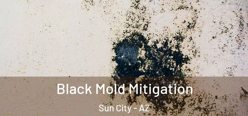 Black Mold Mitigation Sun City - AZ