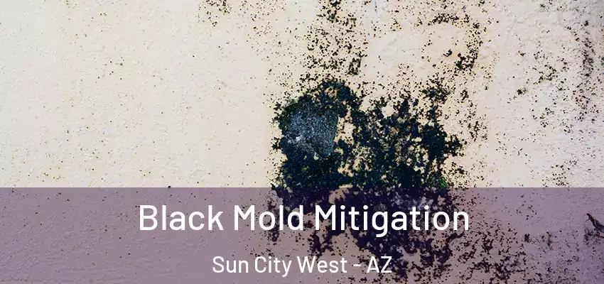Black Mold Mitigation Sun City West - AZ