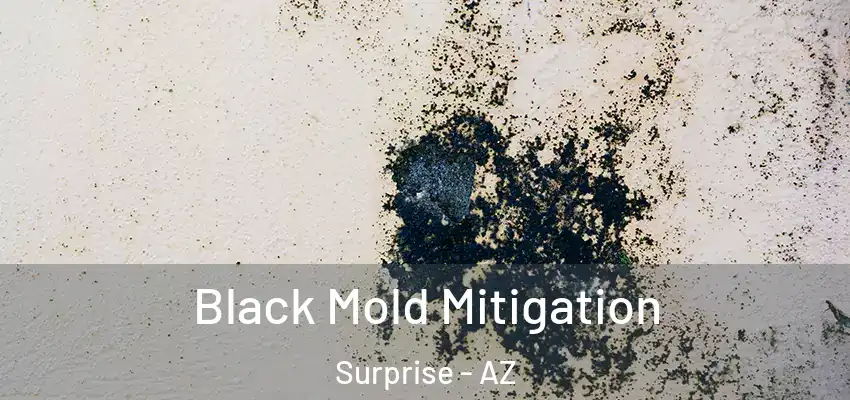 Black Mold Mitigation Surprise - AZ