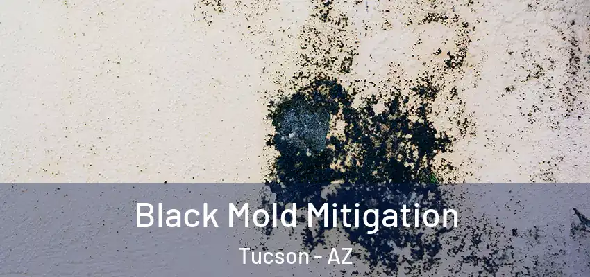 Black Mold Mitigation Tucson - AZ
