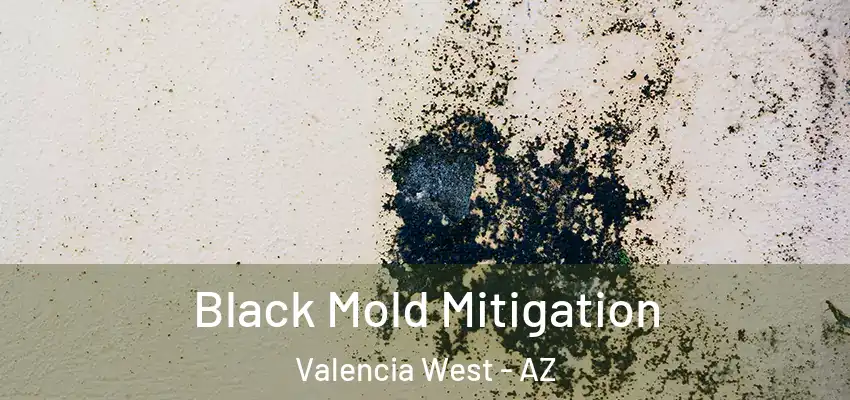  Black Mold Mitigation Valencia West - AZ