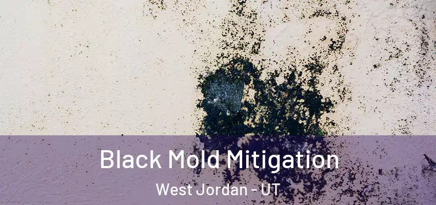Black Mold Mitigation West Jordan - UT