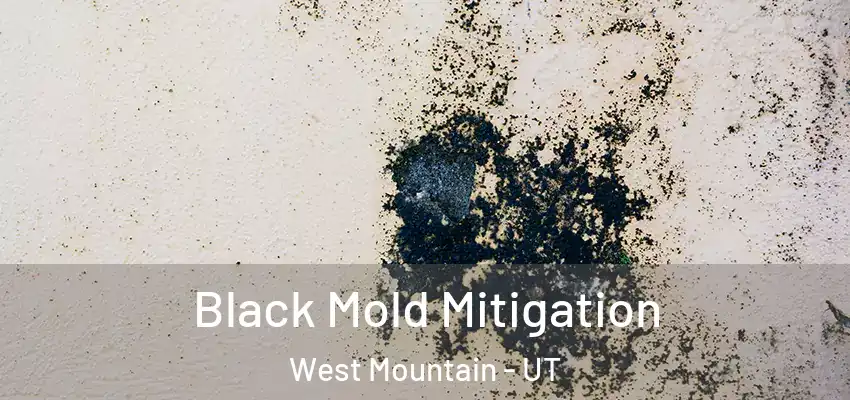 Black Mold Mitigation West Mountain - UT