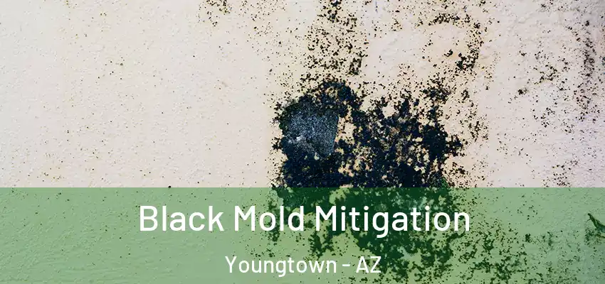 Black Mold Mitigation Youngtown - AZ
