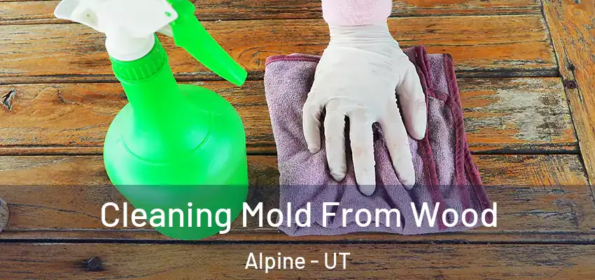  Cleaning Mold From Wood Alpine - UT