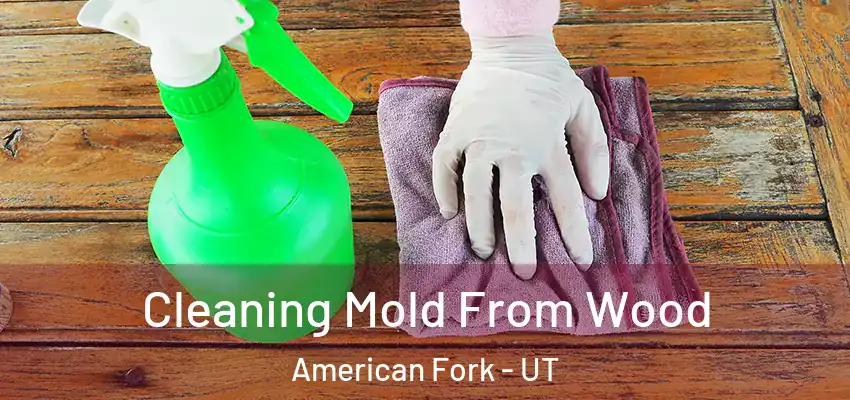  Cleaning Mold From Wood American Fork - UT