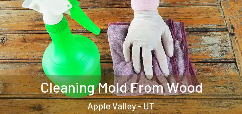  Cleaning Mold From Wood Apple Valley - UT