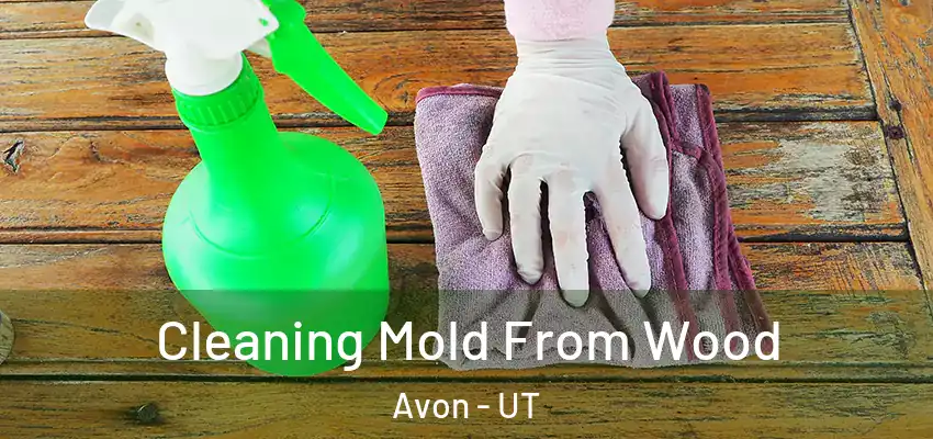  Cleaning Mold From Wood Avon - UT