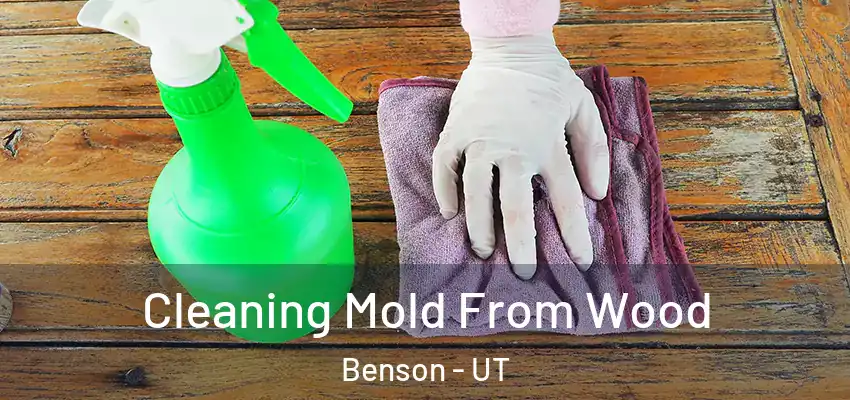  Cleaning Mold From Wood Benson - UT