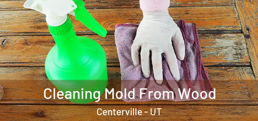  Cleaning Mold From Wood Centerville - UT