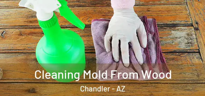  Cleaning Mold From Wood Chandler - AZ