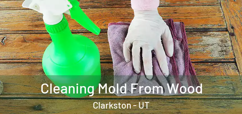  Cleaning Mold From Wood Clarkston - UT