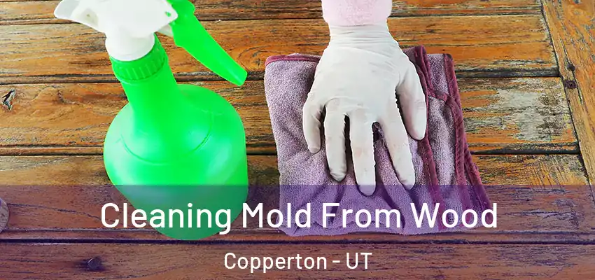  Cleaning Mold From Wood Copperton - UT