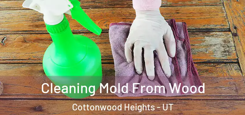  Cleaning Mold From Wood Cottonwood Heights - UT
