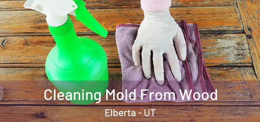 Cleaning Mold From Wood Elberta - UT