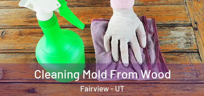 Cleaning Mold From Wood Fairview - UT