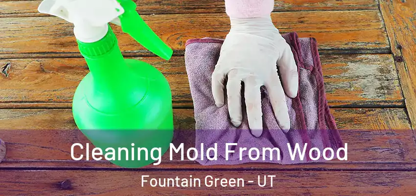  Cleaning Mold From Wood Fountain Green - UT
