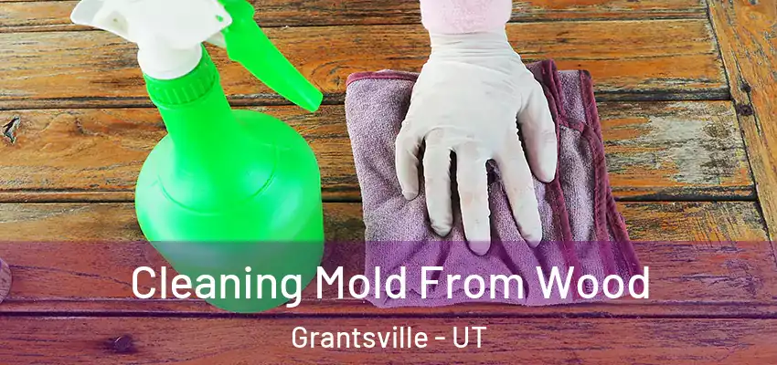  Cleaning Mold From Wood Grantsville - UT