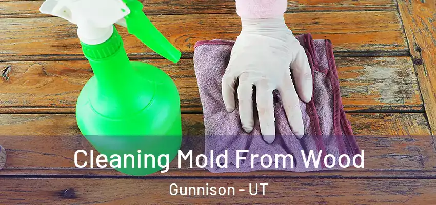 Cleaning Mold From Wood Gunnison - UT