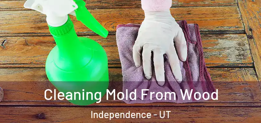 Cleaning Mold From Wood Independence - UT