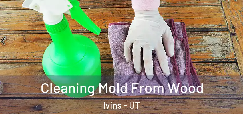 Cleaning Mold From Wood Ivins - UT