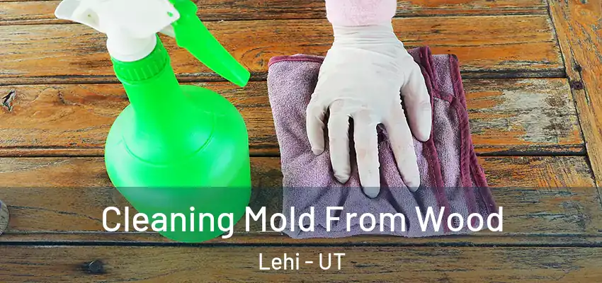 Cleaning Mold From Wood Lehi - UT