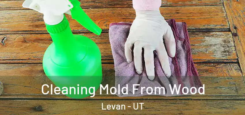  Cleaning Mold From Wood Levan - UT