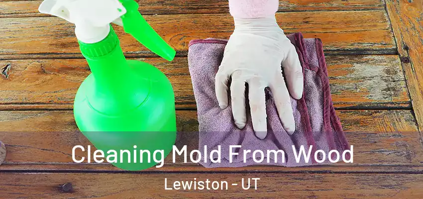  Cleaning Mold From Wood Lewiston - UT