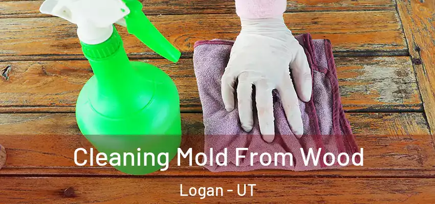  Cleaning Mold From Wood Logan - UT