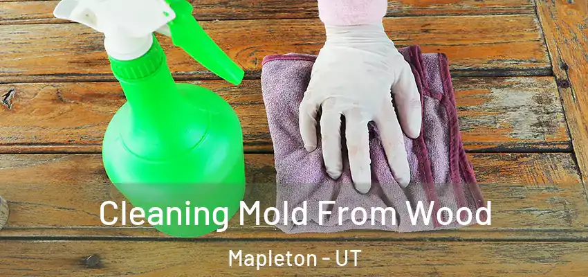 Cleaning Mold From Wood Mapleton - UT