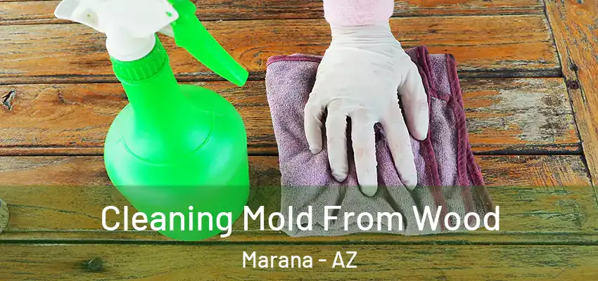 Cleaning Mold From Wood Marana - AZ