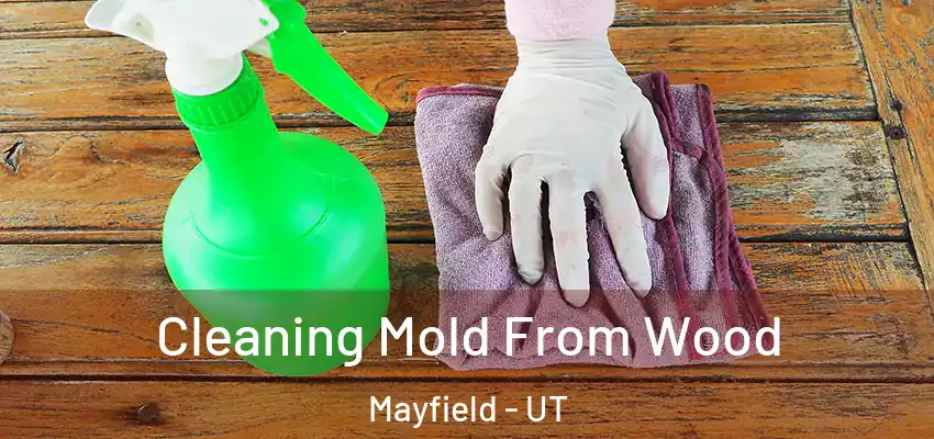Cleaning Mold From Wood Mayfield - UT