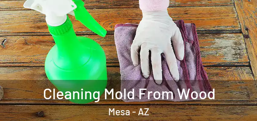 Cleaning Mold From Wood Mesa - AZ