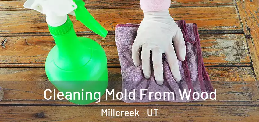 Cleaning Mold From Wood Millcreek - UT