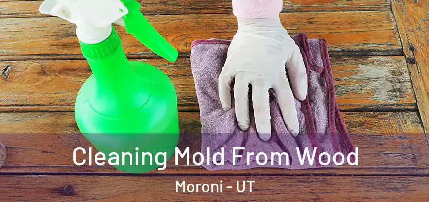  Cleaning Mold From Wood Moroni - UT