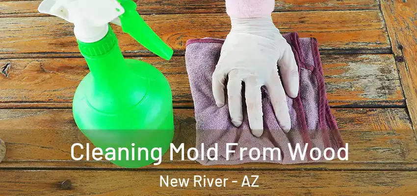  Cleaning Mold From Wood New River - AZ
