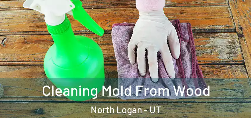  Cleaning Mold From Wood North Logan - UT